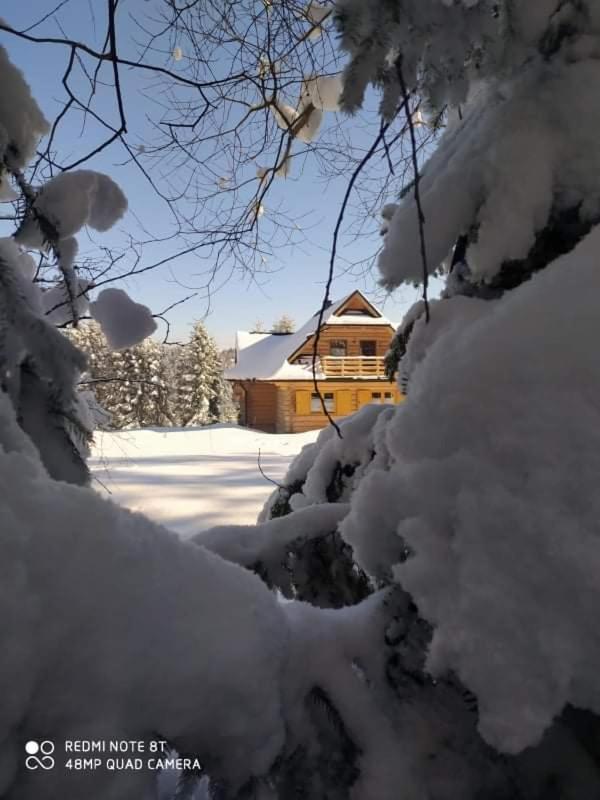 Chalet Gosciniec Dziubasowki