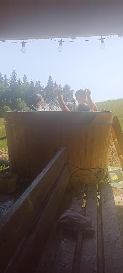 Gosciniec Dziubasowki