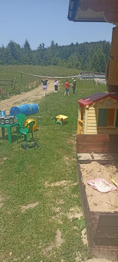 Gosciniec Dziubasowki Chalet Nowy Targ