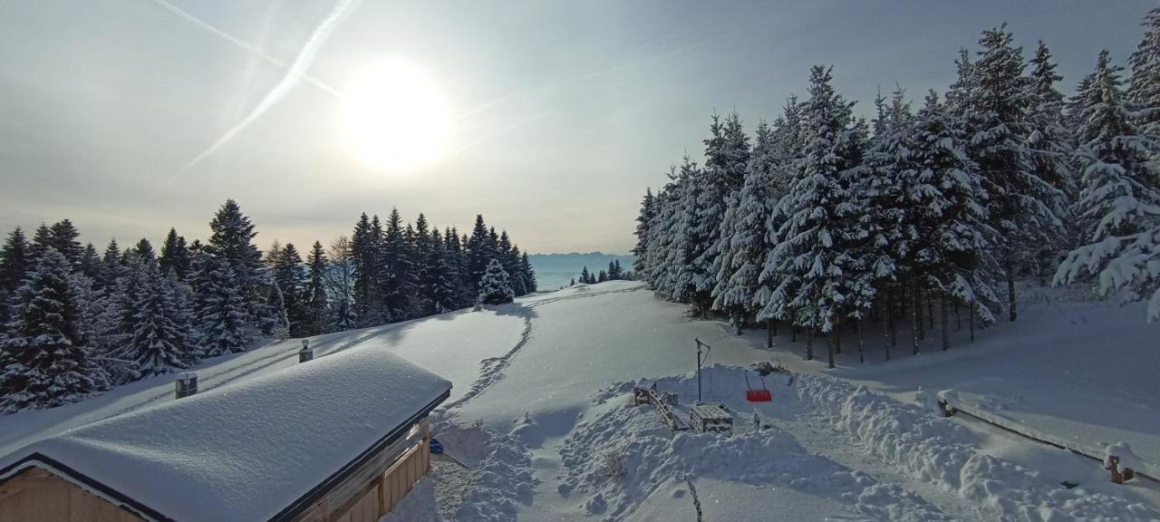 Chalet Gosciniec Dziubasowki