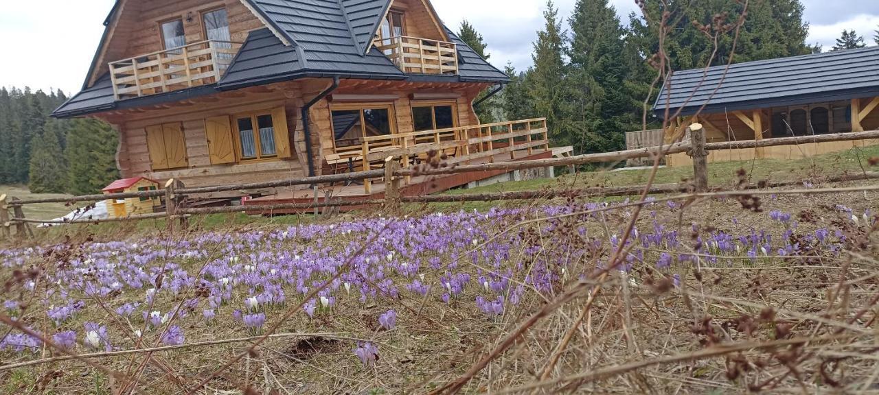 Gosciniec Dziubasowki Nowy Targ