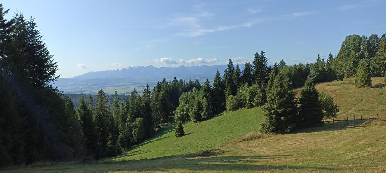 Chalet Gosciniec Dziubasowki Nowy Targ